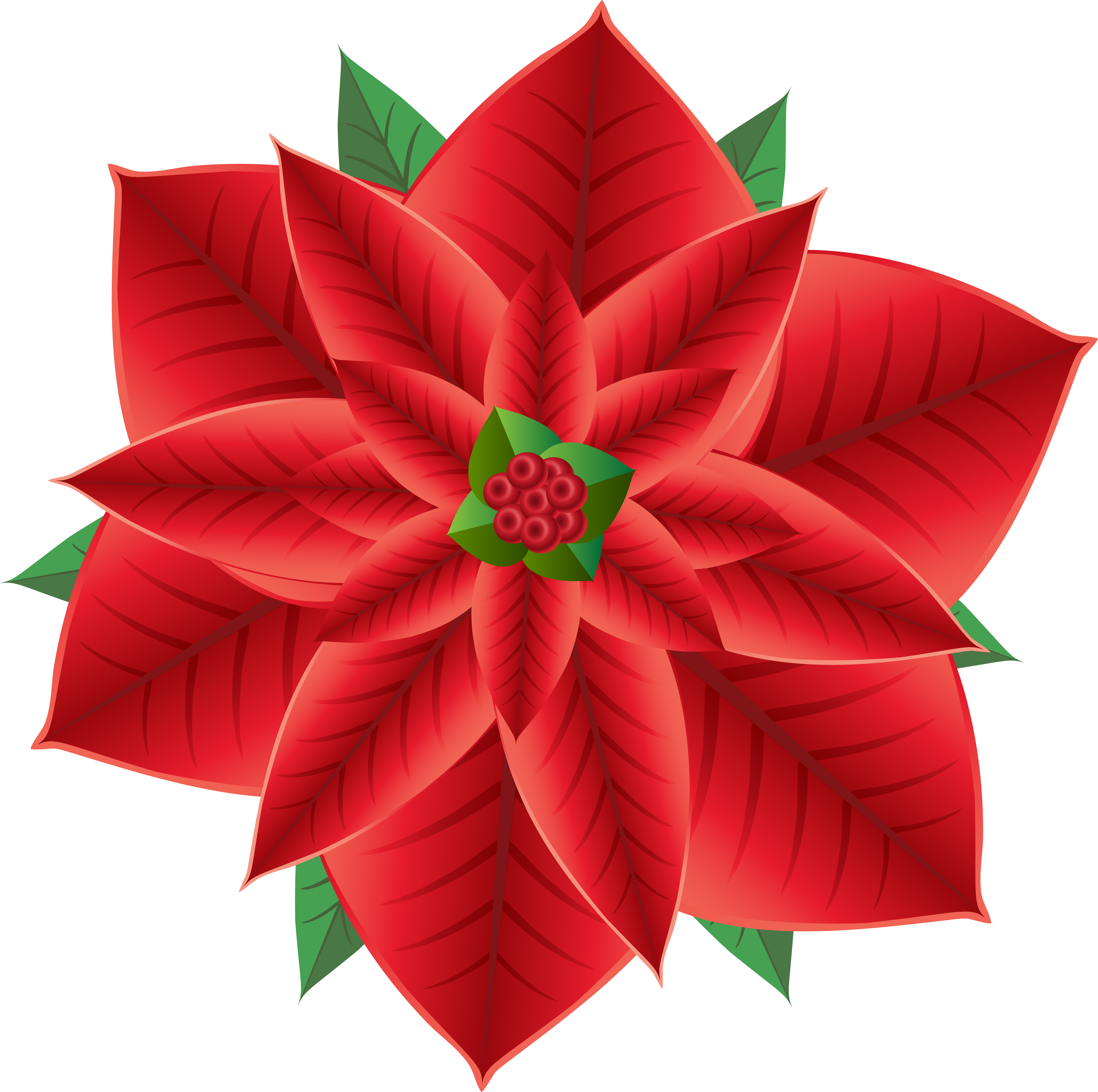 Clip Royalty Free Download Christmas Poinsettia Transparent (8000x7956), Png Download