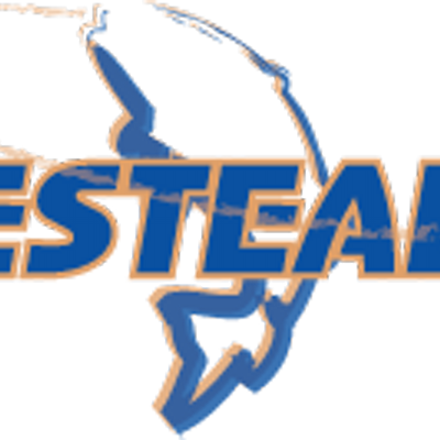 Tacklesteals - Graphics (400x400), Png Download