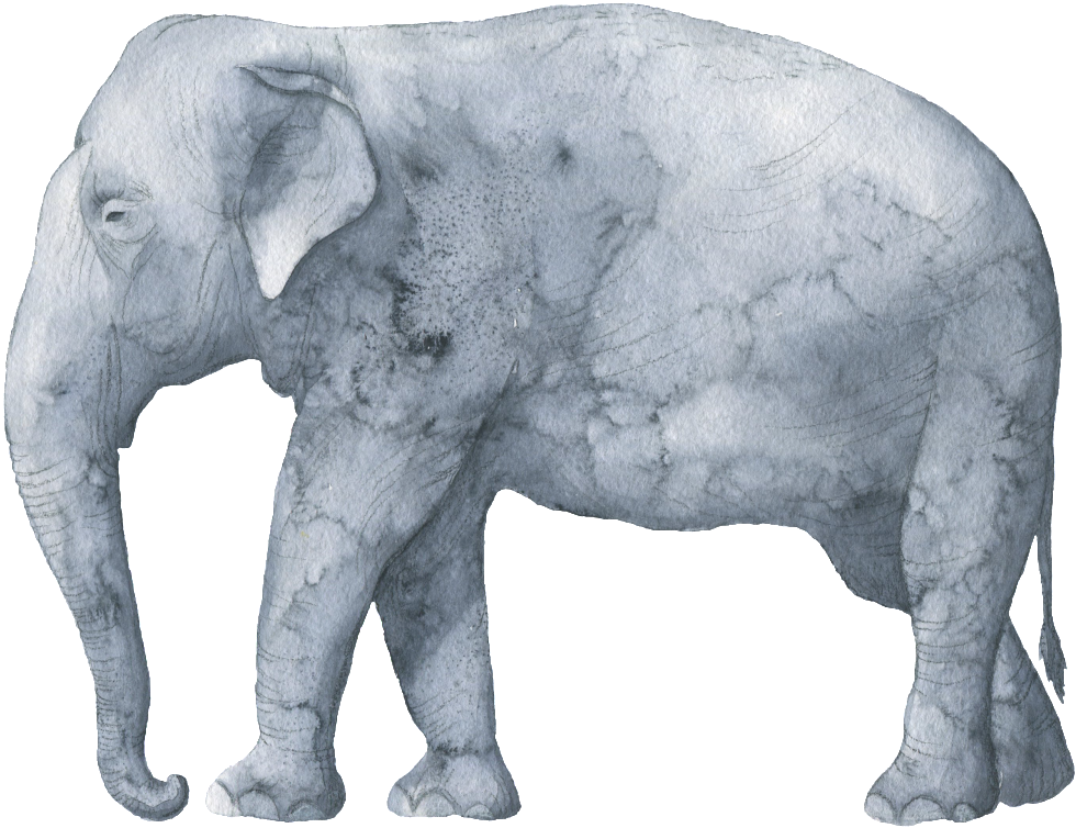 Gray Rendered Elephant Pattern Watercolor Transparent - Watercolor Baby Animals Shower Invitations (1024x784), Png Download