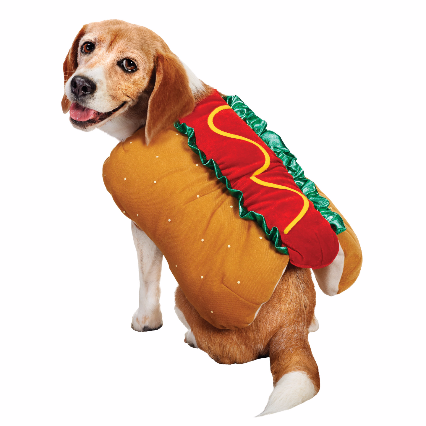The Cutest Halloween Pet Costumes Ever Like Ever Fabfitfun - Dog In Halloween Costume Transparent (2560x1440), Png Download