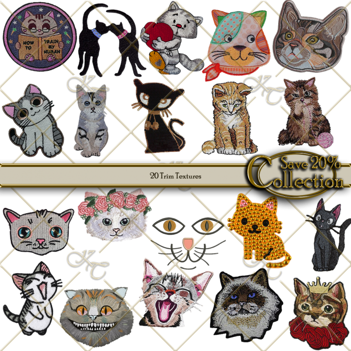 Cats Collection - Cat (700x700), Png Download