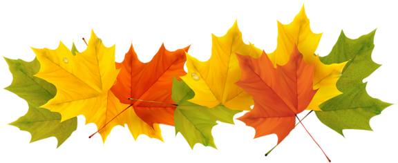 Transparent Fall Leaves Png Picture - Fall Leaves Border Transparent (600x253), Png Download