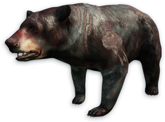 Far Cry 4 Bear Png (633x472), Png Download
