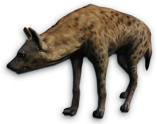 Far Cry 2 Animals Download - Far Cry Primal Hyena (508x405), Png Download