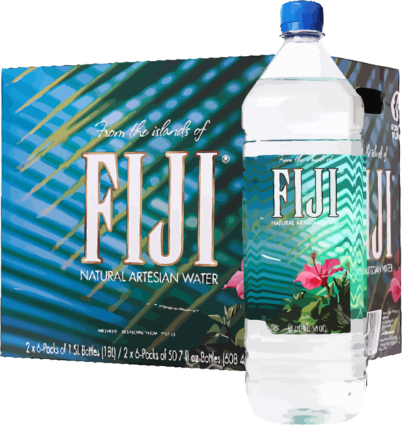 Fiji Water 24pk/16 - Fiji Water 12 Pk (568x600), Png Download
