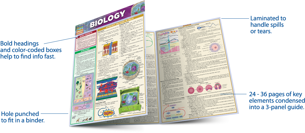 Download Study Guides - Laminated Guide - Full Size PNG Image - PNGkit