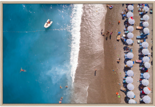 Limited Edition Acqua - Gull (500x500), Png Download