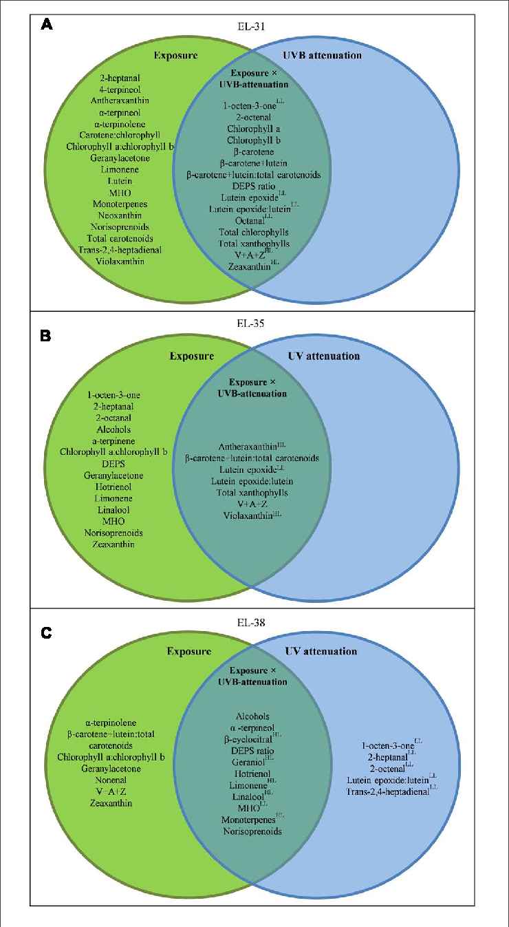 A Venn Diagram Showing The Compounds Which Responded - .org (740x1347), Png Download