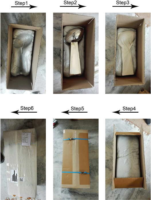 World Series Trophy Packagingstep By Step Packing - Home Door (600x758), Png Download