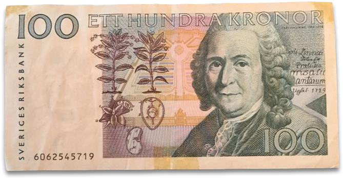 Carl Linnaeus With Linnaea Borealis On A Swedish 100 - Sweden 100 Kronor (696x349), Png Download