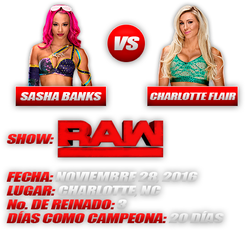 Wwe Smackdown Women's Championship (525x470), Png Download