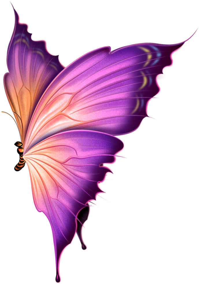 Фото, Автор Ya - Mariposas Animadas De Colores (740x1024), Png Download