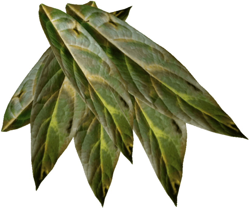 Coyote Tobacco Chew - Tobacco Png (800x700), Png Download