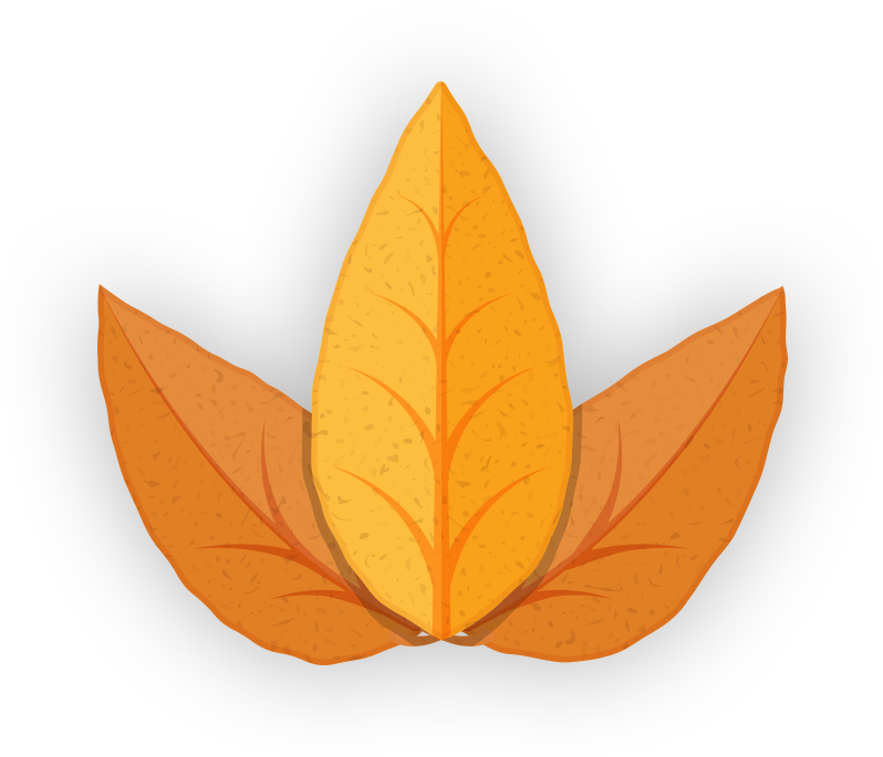 Tobacco Leaf 2 - Illustration (1000x744), Png Download