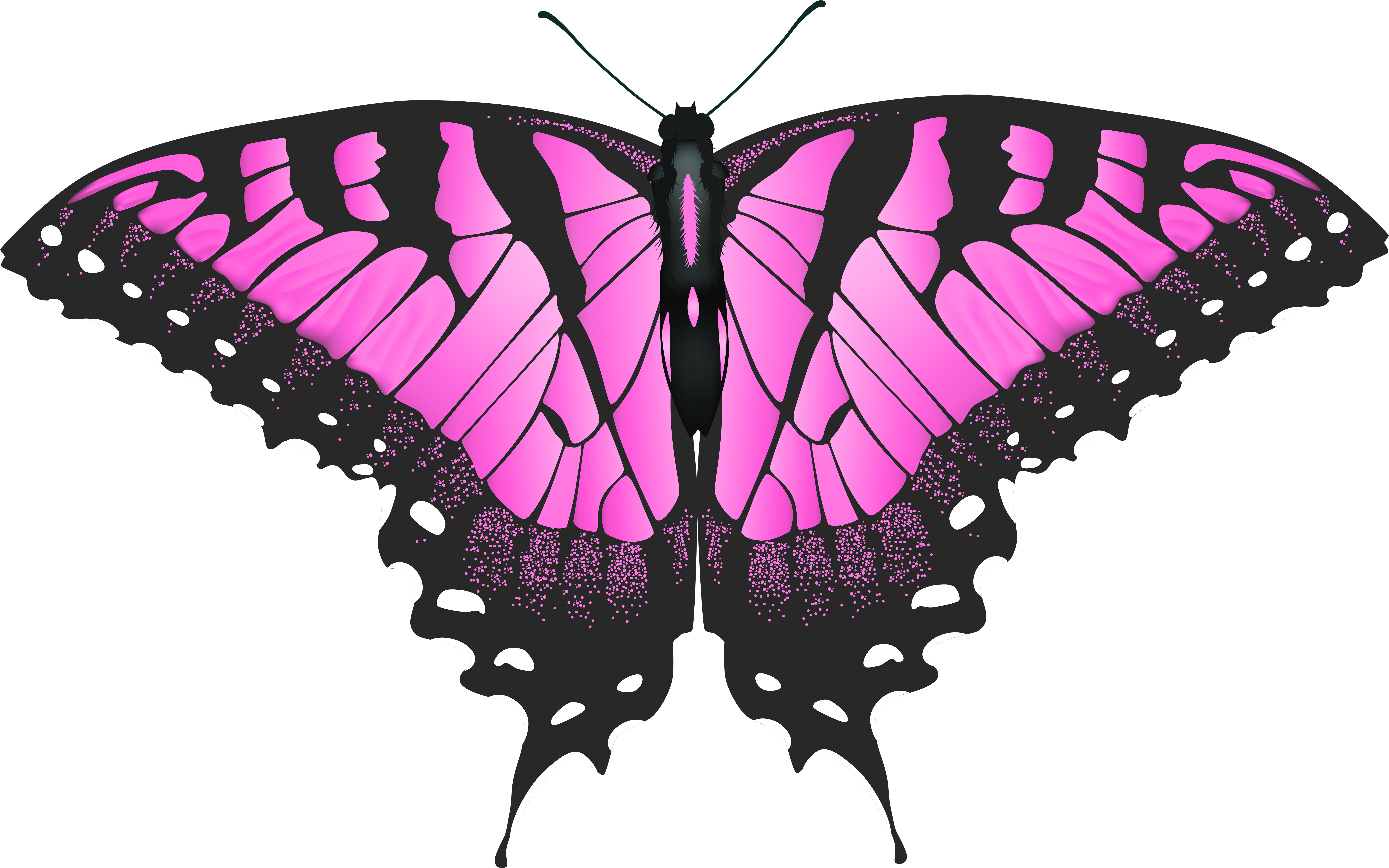 Pink Butterfly Png (8000x5002), Png Download