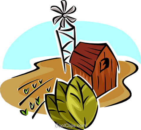 Tobacco Farm Royalty Free Vector Clip Art Illustration - Agriculture Clipart (480x443), Png Download