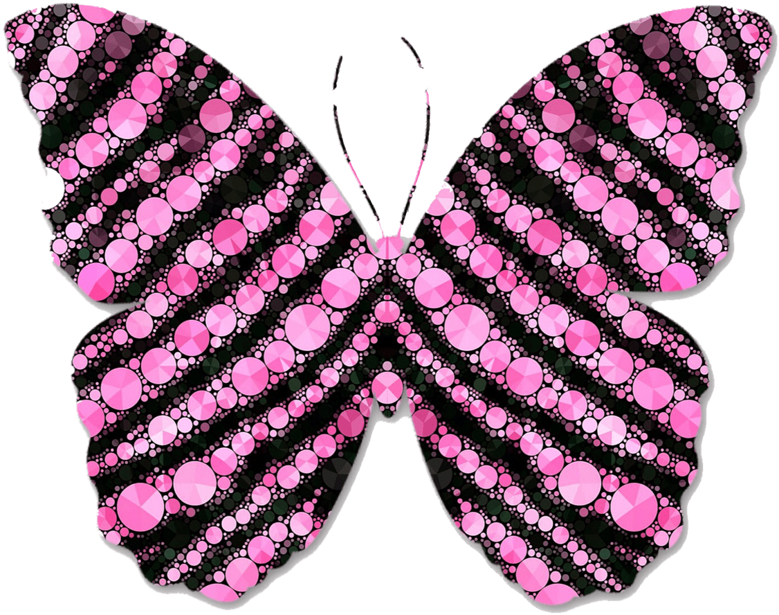 Pink And Black Circles Butterfly Clipart - Imagenes Rosa Y Negro (1280x1280), Png Download