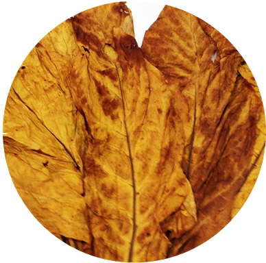 Significant Growth - Leaf Tobacco (391x391), Png Download