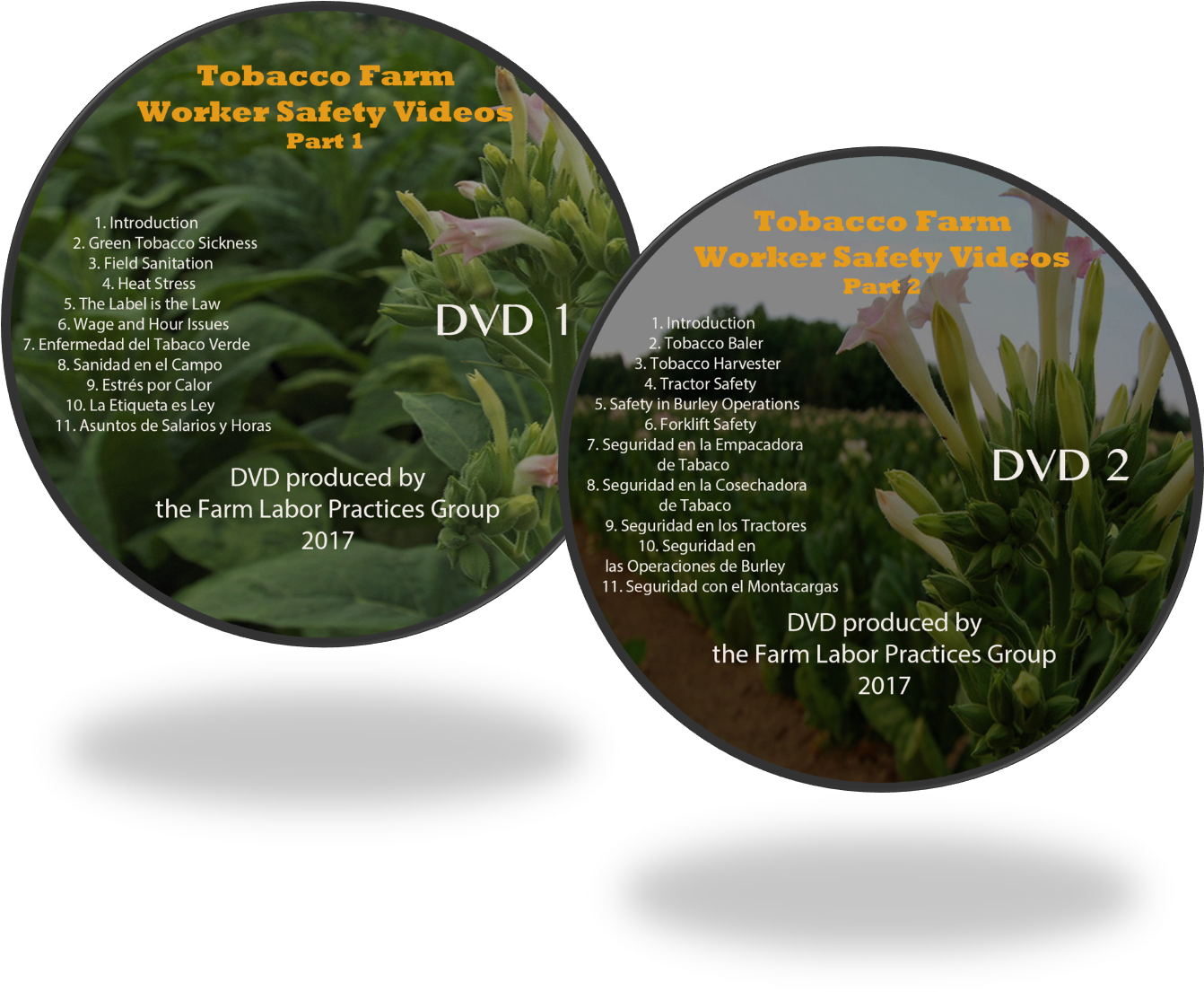 Dvd Safety Video (1345x1125), Png Download