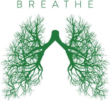 “my Goal Is Not To Punish Smoking, A Very Powerful - Csulb Breathe (424x400), Png Download