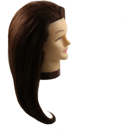 24" Brunette Mannequin Head - Head (600x600), Png Download