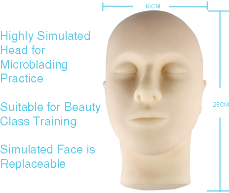 Semi Permanent Make Up Training Mannequin Head - Permanent Makeup (500x400), Png Download