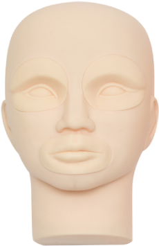 Mannequin Head - Cosmetics (500x500), Png Download