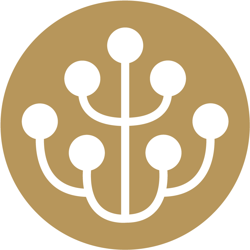 The Rooted Experience (1250x1250), Png Download
