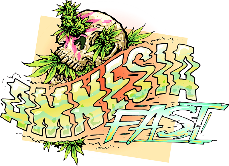 Amnesia Fast Feminised Seeds - Seed (800x579), Png Download