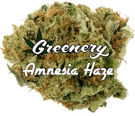 Amnesia Haze - Moss (600x400), Png Download