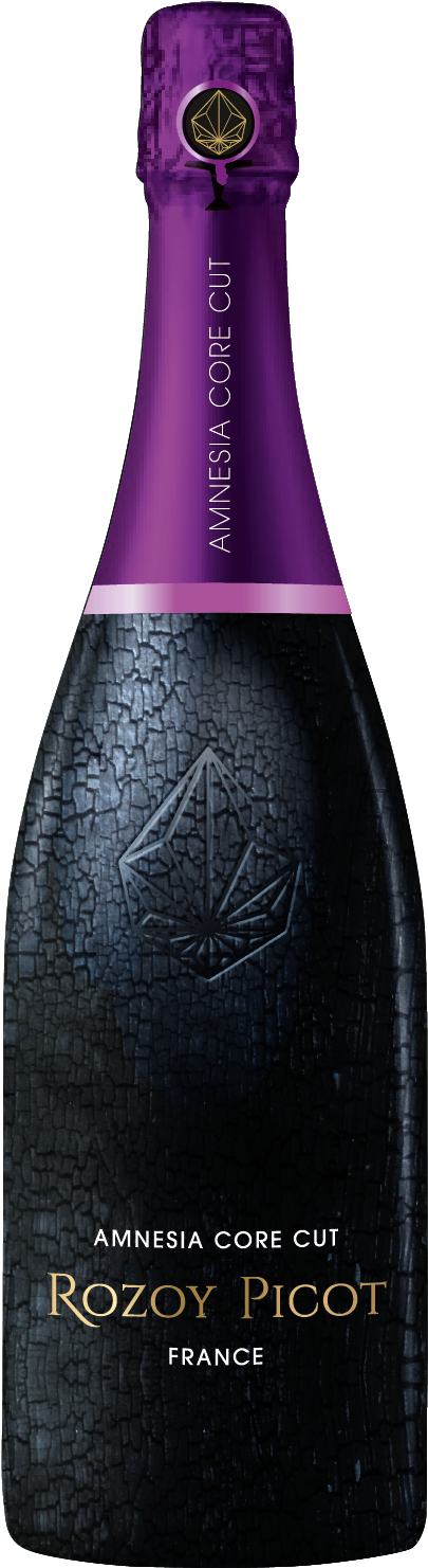 Pack Luxe Amnesia Cora Cut Copie - Best Champagne (2339x1655), Png Download