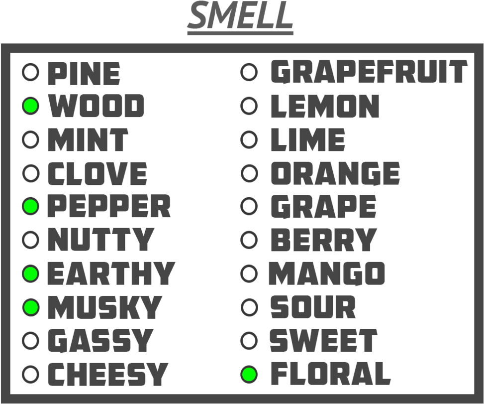 Smell1 (1000x848), Png Download
