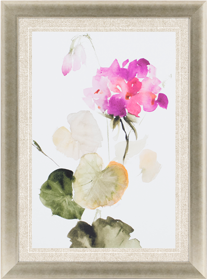 Spring Geranium Ii - Dendrobium (550x550), Png Download