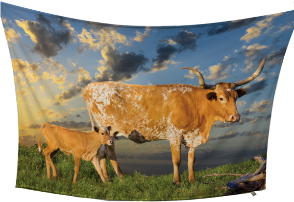 Texas Longhorn Fleece Blanket - My Texas (599x428), Png Download
