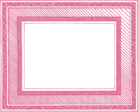 Buy A Flower Frame - South Carolina (479x391), Png Download