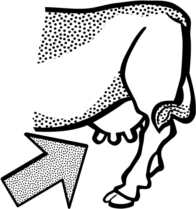 English Longhorn Udder Texas Longhorn Taurine Cattle - Udder Clipart Black And White (775x750), Png Download