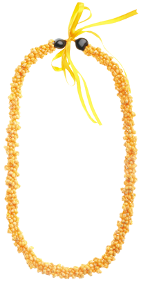 Necklace (300x450), Png Download