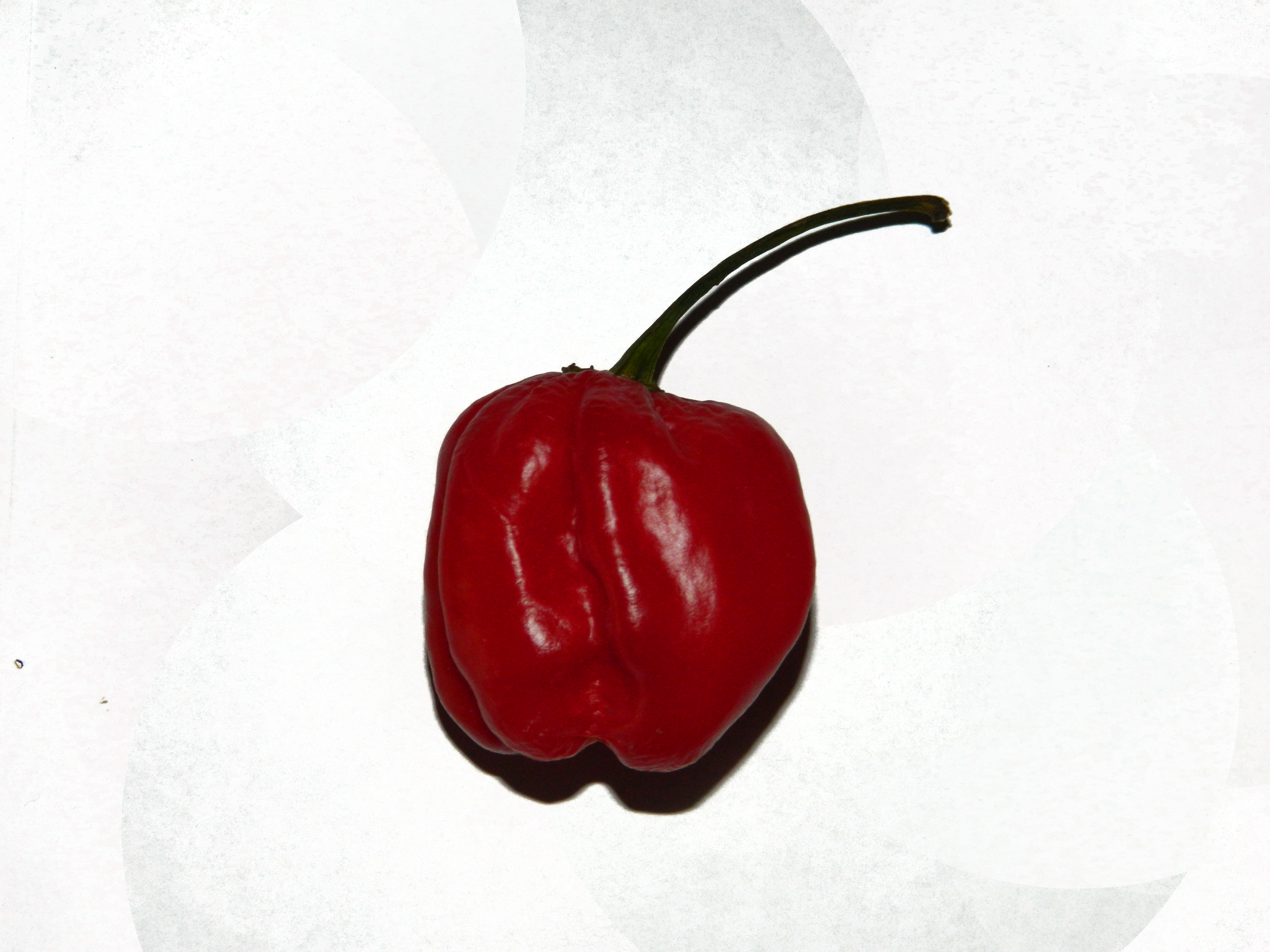 Red Scotch Bonnet (3264x2448), Png Download