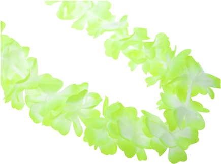 Hawaiian Lei Garland Yellow - Hawaii (464x348), Png Download