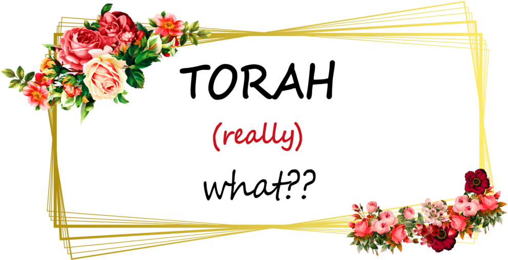 Torah What - Torah (1024x805), Png Download