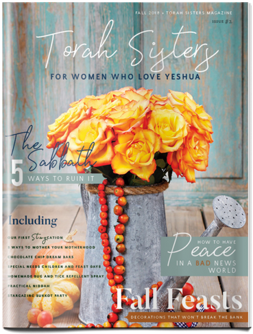 Get The Printed Fall 2018 Issue Of Torah Sisters Magazine - Magazine (400x520), Png Download