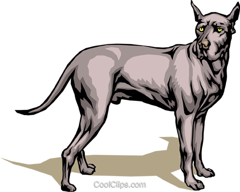 Great Dane Royalty Free Vector Clip Art Illustration - Vector Graphics (480x385), Png Download