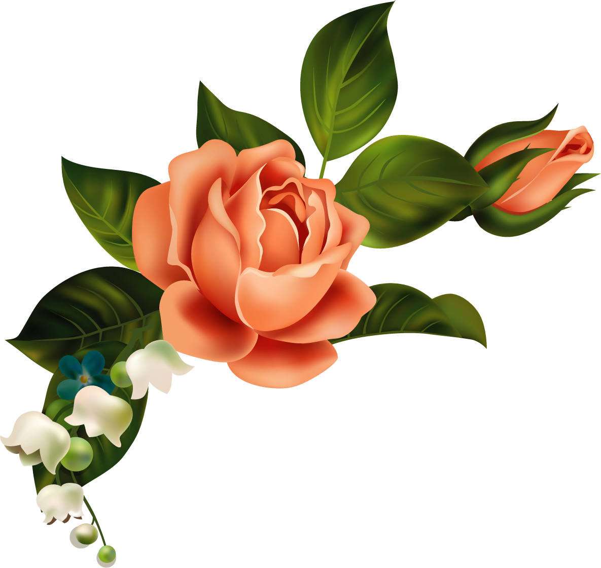 Orange Flower Clipart Corner - Youth Shawn Mendes Lyrics (1185x1120), Png Download