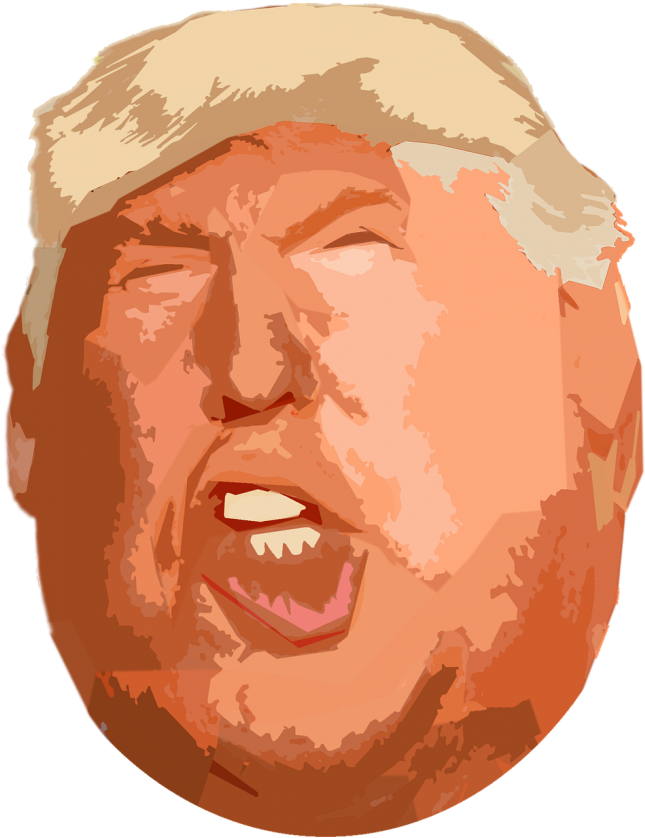 The G - O - M - - Derp Trump (360x450), Png Download