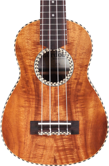 Cordoba 25s (25s Soprano Ukulele) Guitar (547x600), Png Download
