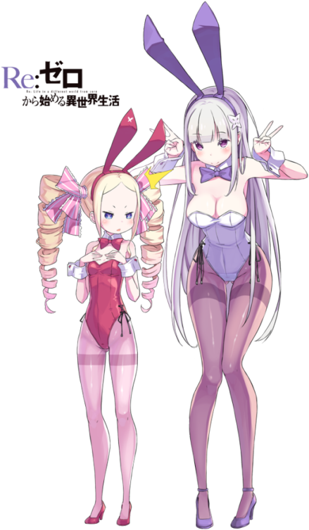 2 - Re Zero Bunny Suit (484x750), Png Download