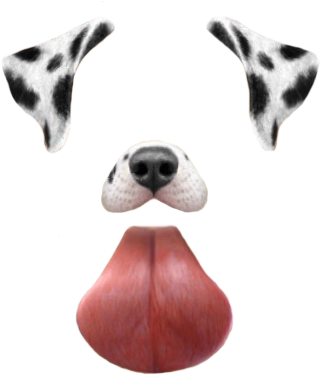Overlay, Snapchat, And Png Image - Filtro Perro Snapchat Png (359x387), Png Download