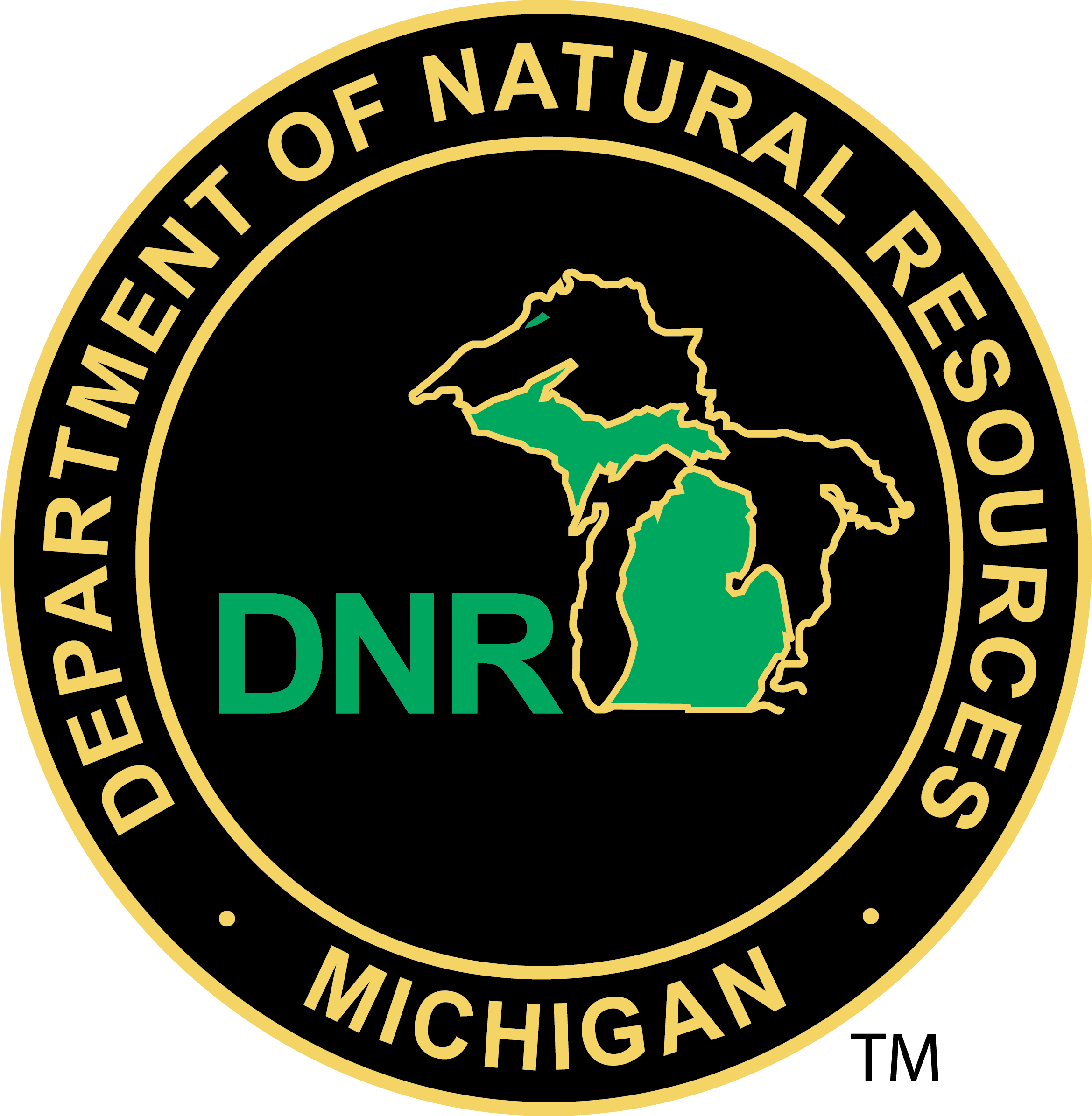 Dnrcolorlogo - Michigan Department Of Natural Resources (1169x1196), Png Download