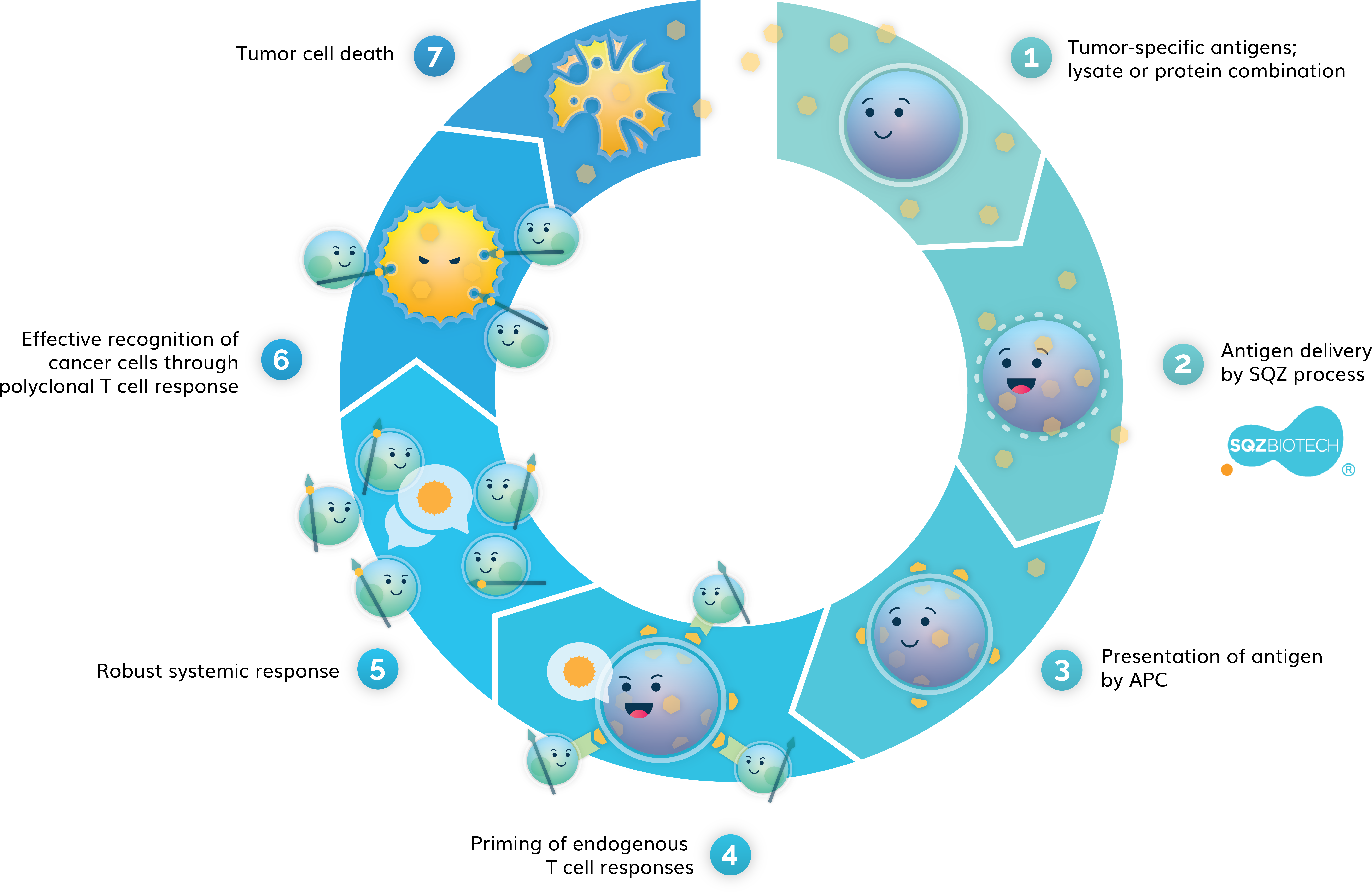 Sqz Play - Circle (8511x5539), Png Download