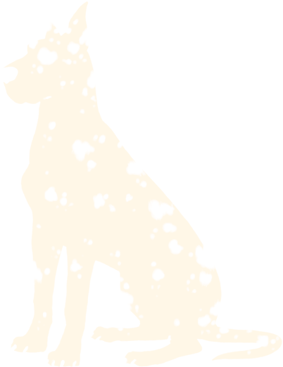 Dalmatian - Great Dane (475x538), Png Download